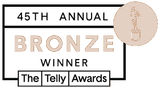45th bronze telly award icon