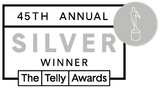 45th Silver telly award icon
